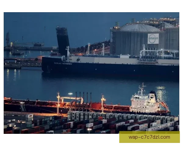 外媒称阿尔及利亚或召马索林